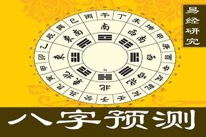 陆老师《道家道家八字算命》视频讲座