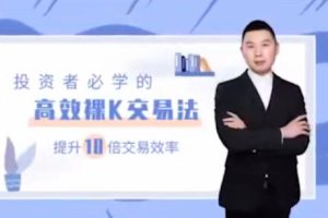 许佳聪《裸K线交易法》价格行为视频讲解
