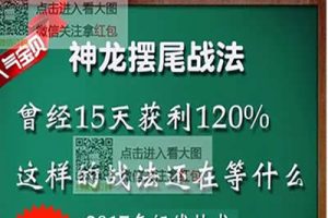 《神龙摆尾战法软件及指标》15天获利%25