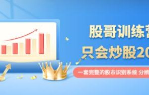 一套完整的股市识别系统分辩涨路-股哥训练营
