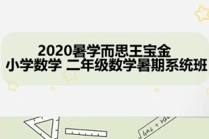 2020暑学而思王宝金-小学数学二年级数学暑期系统班