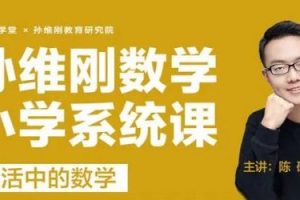 (孙维刚教育研究院)陈硕老师小学数学思维能力提升视频