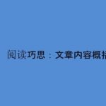 小学阅读巧思微课  视频