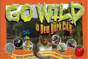 Go Wild (视频+音频) 下载，BBC户外自然科普儿童英文节目