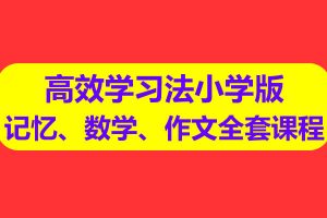 惠学通高效学习法小学版记忆、数学、作文全套课程视频网课