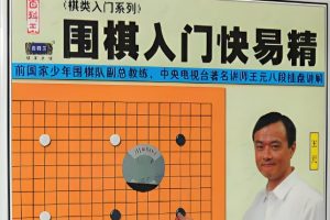 围棋入门快易精围棋入门王元围棋视频讲座全套