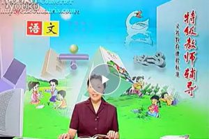 特级教师辅导人教版小学1-6语文数学英语全套视频
