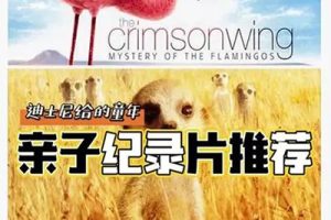 《13部迪士尼自然纪录片》高清视频最强动物类纪录片合集