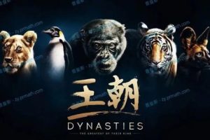 BBC超燃纪录片《王朝》全集视频