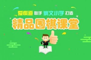 爱棋道围棋课：i5-i9春季长期班视频