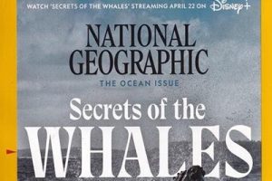 2022《National Geographic 国家地理》