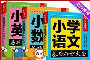 2024小白鸥-小学基础知识-语数英(小升初衔接知识点)学习资料电子版