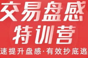 提升盘感,抄底逃顶《交易盘感特训营》视频课