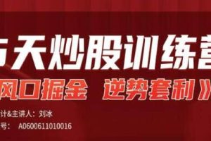 刘冰《股市风口掘金逆势套利》5天炒股训练营视频