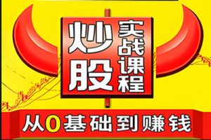 《小白股票实战训练营》12期0基础炒股教程视频