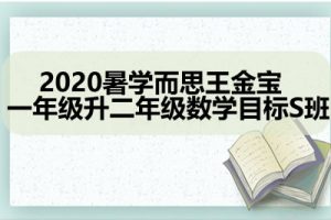 2020暑学而思王金宝 小学数学 一年级升二年级数学目标S班