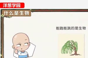 洋葱学园2023小学自然课程(科学)(1-6年级通用)网课视频
