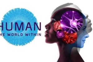《人类：体内的世界 Human: The World Within》英文版全6集下载Netflix纪录片