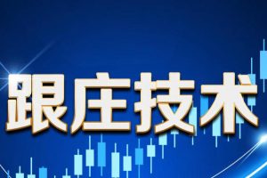 辉哥-跟庄技术，三重滤网交易技术