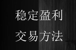 李君壮教您在牛熊市皆赢利的自研方法》炒股教程视频