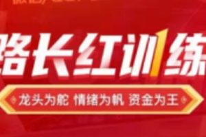 《股市如何投资龙头一路长红训练营》教程视频