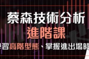 《技术分析入门与进阶课》蔡森教你掌握进出场时机
