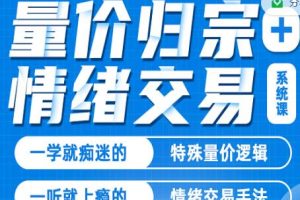 《量价归宗+情绪交易》炒股教程系统视频课