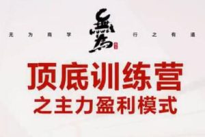 无为老师教您抄底与逃顶的实战-视频教学
