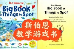 斯伯恩数学游戏书《The Usborne Big Book of Things to Spot》共1册PDF