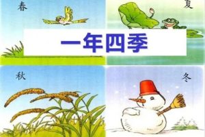 【思泉语文】1-6年级春夏秋冬四季教案