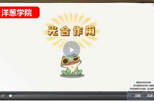 洋葱学院-新版洋葱小学自然启蒙动画课网课视频