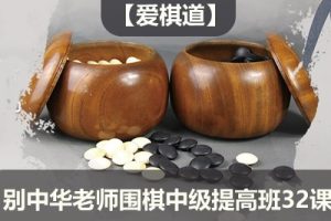 【爱棋道】别中华老师围棋中级提高班32课时+4复习课