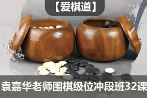 【爱棋道】袁嘉华老师围棋级位冲段班32课时