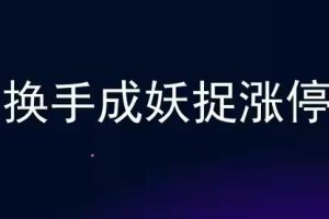 《换手成妖捉涨停》学会就能盈利