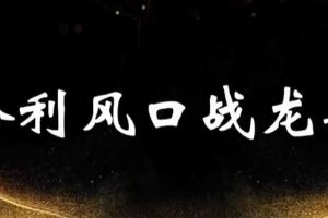 《分时做T龙头起爆技法》散户必会