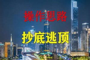 《如何抄底和逃顶股票》无为李栋的炒股教程视频