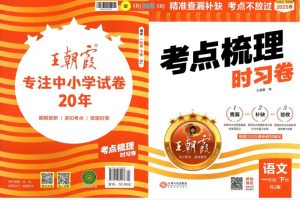 2025年春《王朝霞考点梳理时习卷》小学1-6年级语文下册