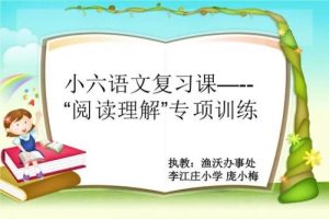 小学语文阅读专项技巧-教学视频