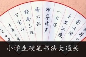 小学生硬笔书法大通关123讲(有练习、有控笔)