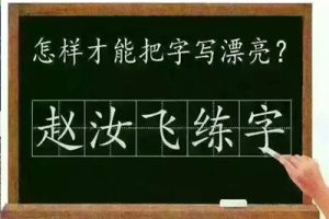 赵汝飞练字-笔画视频课程共32集