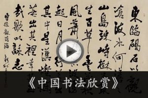 《中国书法欣赏》视频共31集