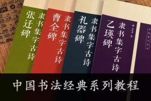 《中国书法经典系列教程：草书、楷书、隶书、纂书入门》共4套视频教程