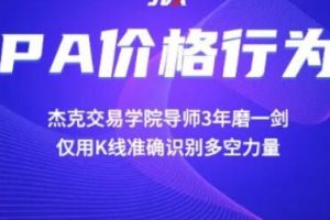 《PA价格行为交易系统训练营》实战干货视频