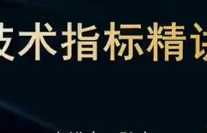 《股票技术十大王牌指标,扫盲精讲》