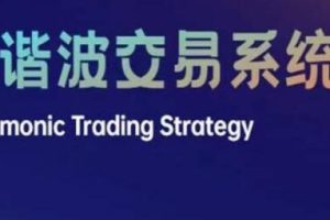 技术流兔子主讲《谐波交易系统》