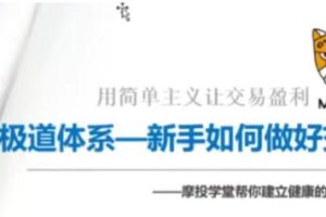 《新手如何做好交易》视频课