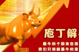 李晓光《庖丁解牛》经典涨停牛股分析视频