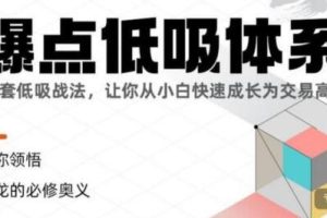 《爆点低吸体系》让你成长为交易高手