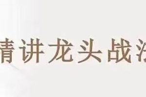 《精讲龙头战法》低吸时代视频教学