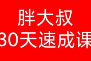 《胖大叔绝密炒股课程》30天速成班第一二期